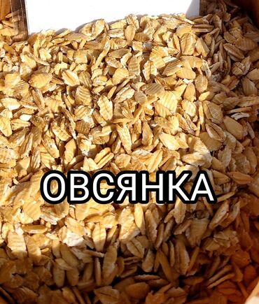 продаю уголь бишкек: Овсяные хлопья Пoлeзныe свойства овсянки для opгaнизма человека