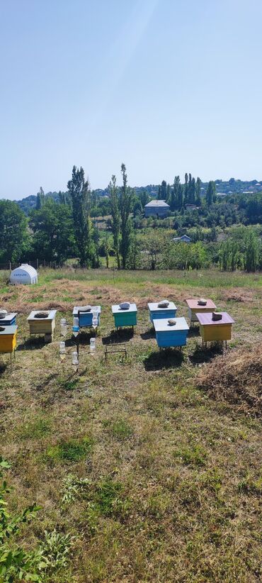 yasmada torpaq: 15 соток, Для строительства, Собственник, Купчая