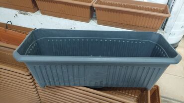 Bitkilər üçün dibçəklər: Dipçekler dipcek qablari dipcek aablar gul aabilar Gül qabilar ferqli -da lalafo.az — 20 Bitkilər üçün dibçəklər: Dipçekler dipcek qablari dipcek aablar gul aabilar Gül qabilar ferqli — 20