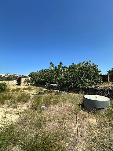 Bağ evlərinin satışı: Satılır Bağ Evi – Novxanı, Qurtdərəsi (6 Sottu). Novxanı qəsəbəsinin — 23
