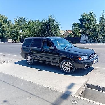 Продажа авто: Subaru Forester: 2003 г., 2 л, Автомат, Бензин, Кроссовер — 4