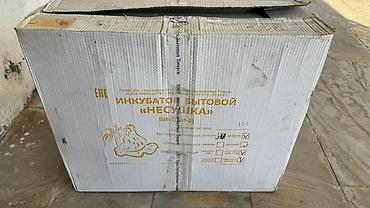 elekt: Rusiya, Tam avtomat — 1