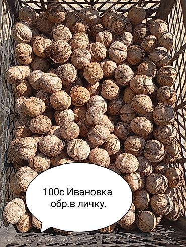 продаю кобылу: Грецкий орех в скорлупе, свежего урожая, крупный, ровный калибр. Орехи — 1