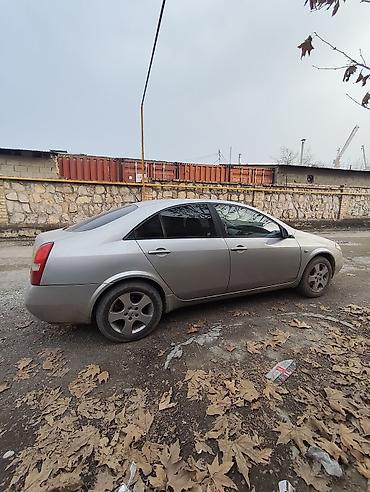 Nissan: Nissan Primera: 2005 г., 1.8 л, Механика, Бензин, Седан — 7