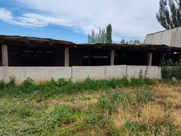 Продажа участков: 15 соток, Для строительства, Красная книга — 11