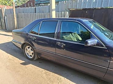 решетка радиатор мерс: Mercedes-Benz S-Class: 1994 г., Седан — 4