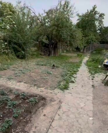 продаю дом село военный антоновка: Полдома, 20 м², 1 комната, Собственник, Старый ремонт