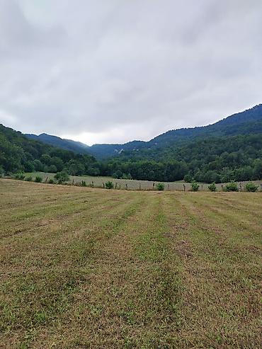 şəkidə torpaq: 130 sot, Biznes üçün, Mülkiyyətçi, Kupça (Çıxarış) — 1