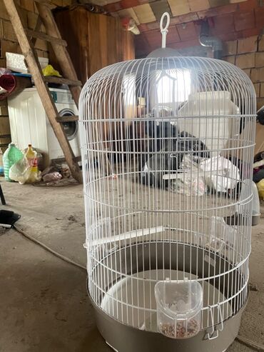 tunika bela pamucna: Kavez za papagaja