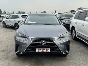 лексус nx 300: Lexus NX: 2018 г., 2 л, Автомат, Бензин, Кроссовер