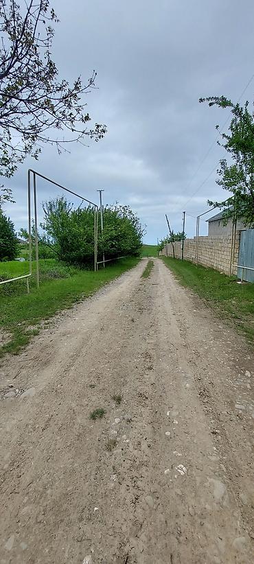 tap az samaxi: 20 sot, Tikinti, Mülkiyyətçi, Kupça (Çıxarış) — 9