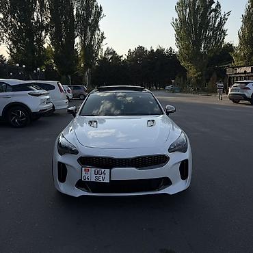 дверь марк 2: Kia Stinger: 2021 г., 3.3 л, Бензин, Лифтбек — 1
