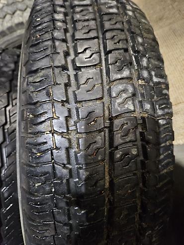 chery tiggo nece masindir: Ford ucun Tigar markalı şinlər və dəmir disk cutu 100 azn - Ölçü — 3