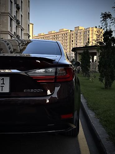 ешка 301: Lexus ES: 2017 г., 2.5 л, Вариатор, Гибрид, Седан — 7