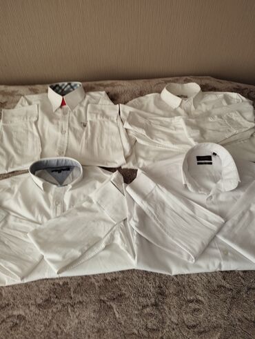 базовые мужские футболки: Рубашка S (EU 36), цвет - Белый
