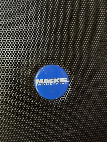 Динамики и колонки: Пассивная акустическая система Mackie Industrial ART 500 - Серия — 1