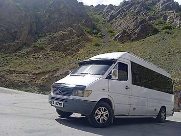 Такси: Автобус заказ — 7