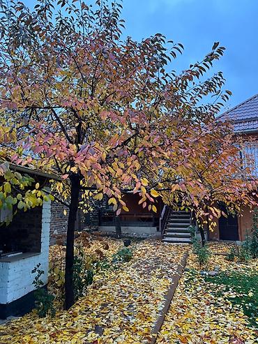 Продажа коттеджей и домов: Село Арашан, рядом с Royal Fish, Площадь 4.5 соток 4 комнаты — 17