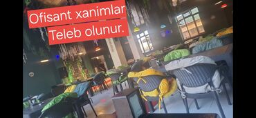 курсы в баку вакансии: Ofisiant tələb olunur, Pivə barı, 18-29 yaş