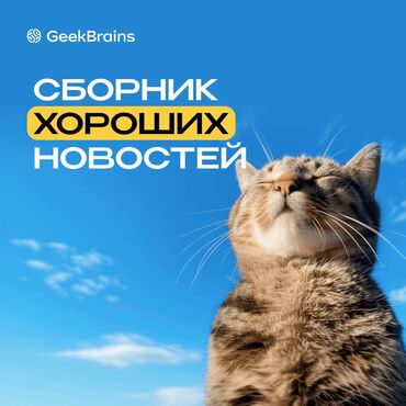 курс доллара бишкек оптима: Утерян паспорт на имя Кожомкулова Чынара Аскаралиевна! вернуть за