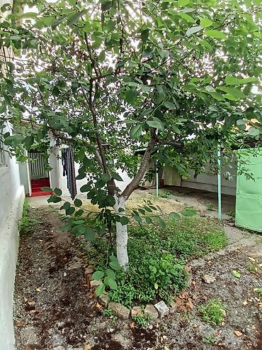 Həyət evləri və villaların satışı: 🏡 Təcili Satılır! Geniş və rahat yaşayış üçün ideal həyət evi — 3