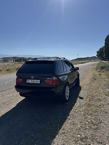 бу чехол: BMW X5: 2002 г., 4.4 л, Автомат, Бензин, Кроссовер — 9