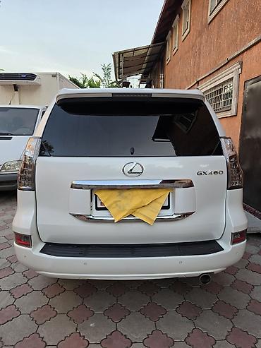 gx: Lexus GX: 2014 г., 4.6 л, Автомат, Бензин, Внедорожник — 2