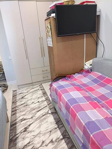 osh flat: 2 комнаты, 65 м², Пишпек Элитка, 3 этаж, Евроремонт — 5