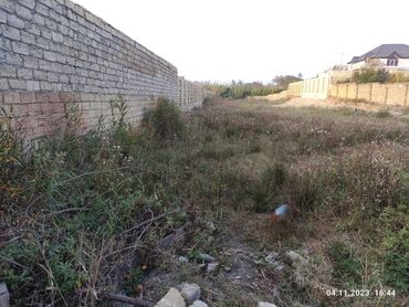 tap az qobuda torpaq: 17 sot, Maklerlər narahat etməsin, Kupça (Çıxarış)