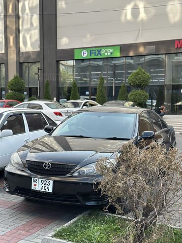 двигатель тойота 4.2 турбо дизель купить: Toyota Camry: 2004 г., 2.4 л, Автомат, Бензин, Седан