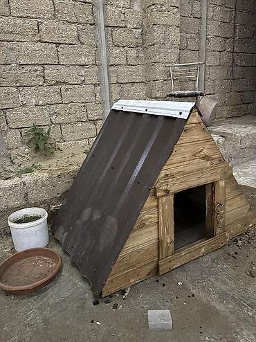 satılan itler: A frame it yuvası çox keyfiyətli istiyə və soyuğa davamlı penoplas və — 3