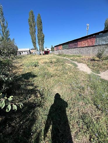 4 соток, Для строительства, Красная книга at lalafo.kg — 5 4 соток, Для строительства, Красная книга — 5