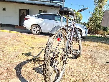 Детские велосипеды: Үч велосипед сатылат 1) Детский велосипед Starke (розовый) - Колеса — 4