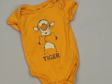 lupilu body z krótkim rękawem: Body, Sinsay, 3-6 months, 
condition - Perfect