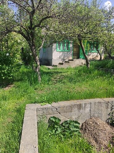 модульный жом: Продаю дачу. В хорошем месте. На огороде есть яблони, малины — 2