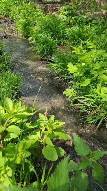 Turizm: 7 sot torpaqda 3 otaqli ev Yasayis ucun her bir serait vardir Qaz su — 5