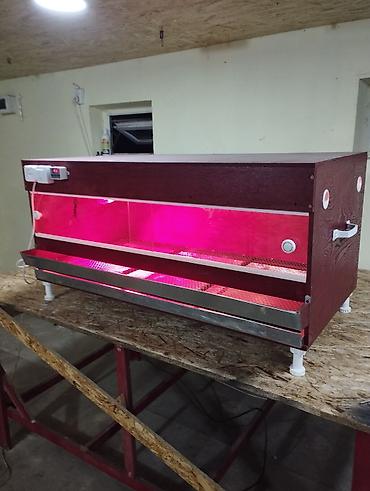 Товары и оборудование для с/х животных: Продаю брудер для выращивания цыплят полный комплект сделан из фанеры — 23