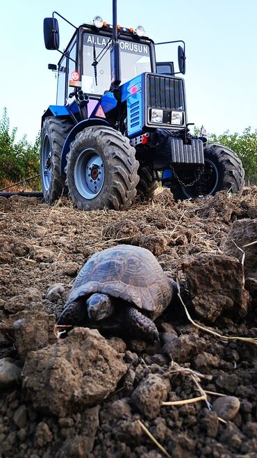 Traktorlar: Belarus 892 traktoru – güclü və etibarlı universal kənd təsərrüfatı — 5