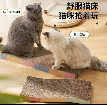 Зоотовары: Зоотовары для питомцев лежанки домики переноски игрушки дразнилки — 14