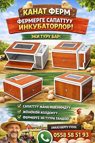 Инкубаторы: Инкубаторы для яиц «Канат Ферм» — удобное решение для домашнего и — 1