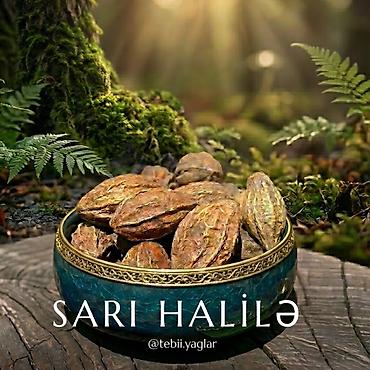 Qida məhsulları: ​✨ Təbiətin Şəfa Mənbəyi: Sarı Xəlilə (Haritaki) ✨ ​Tibbi ədəbiyyatda — 1