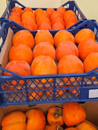 Meyvə və giləmeyvə: Məhsul: Öz bağımızdan Xurma . Ağdaş Xurması. Qiyməti - 0.70. Çox — 1