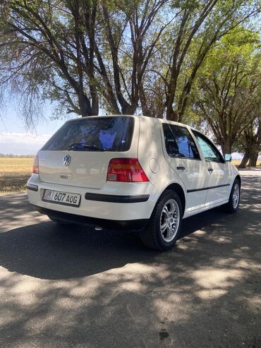 домашний вентилятор: Volkswagen Golf: 1999 г., 1.6 л, Механика, Бензин, Хэтчбэк