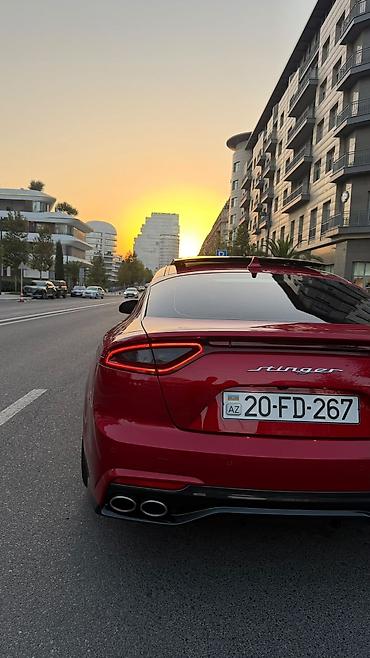 mini kia: 🔥🚀 KIA STINGER 2019/2020 — GÖRÜNÜŞÜ İLƏ DƏLİ EDƏN MAŞIN! 😈 💣 2.0 TURBO — 2