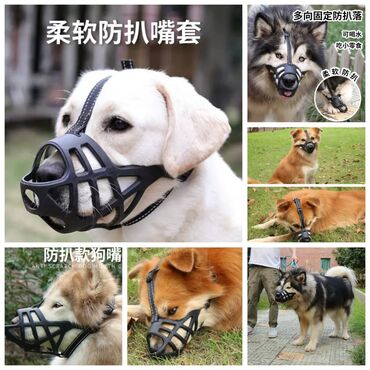 Зоотовары: Продаю игрушку/когтеточку/лежанку 3в1,с кошачей мятой,вашему котику — 7