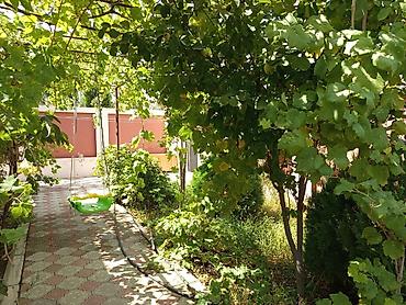 Həyət evi alıram: 190 kv. m, 6 otaqlı — 3