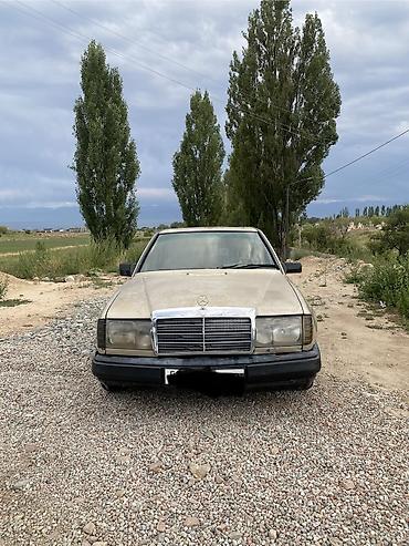 купить мерс с: Mercedes-Benz W124: 1987 г., 2.3 л, Механика, Бензин, Седан — 1