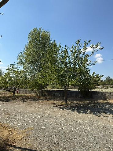 Həyət evləri və villaların satışı: 3 otaqlı, 72 kv. m — 18