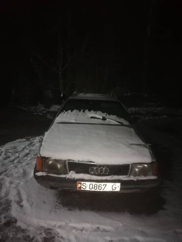 Audi: Audi 100: 1989 г., 2.3 л, Механика, Бензин, Универсал