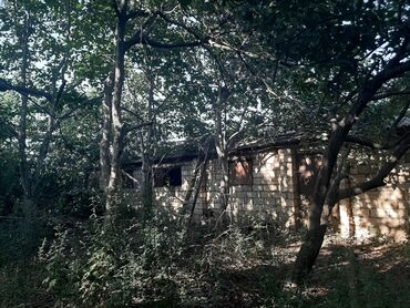 Həyət evləri və villaların satışı: 6 otaqlı, 200 kv. m, Kredit yoxdur, Orta təmir -da lalafo.az — 12 Həyət evləri və villaların satışı: 6 otaqlı, 200 kv. m, Kredit yoxdur, Orta təmir — 12